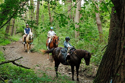 フォトギャラリーイメージ｜グランドメルキュール八ヶ岳リゾート＆スパ