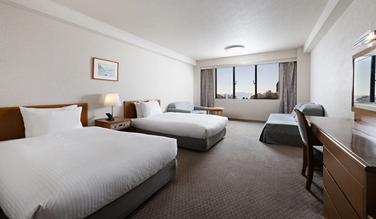 クラシックツイン マウンテンビュー