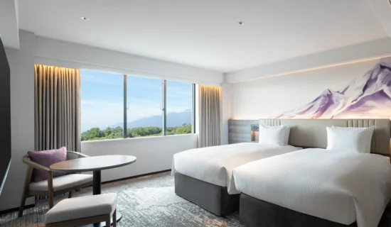 エグゼクティブツイン マウンテンビュー