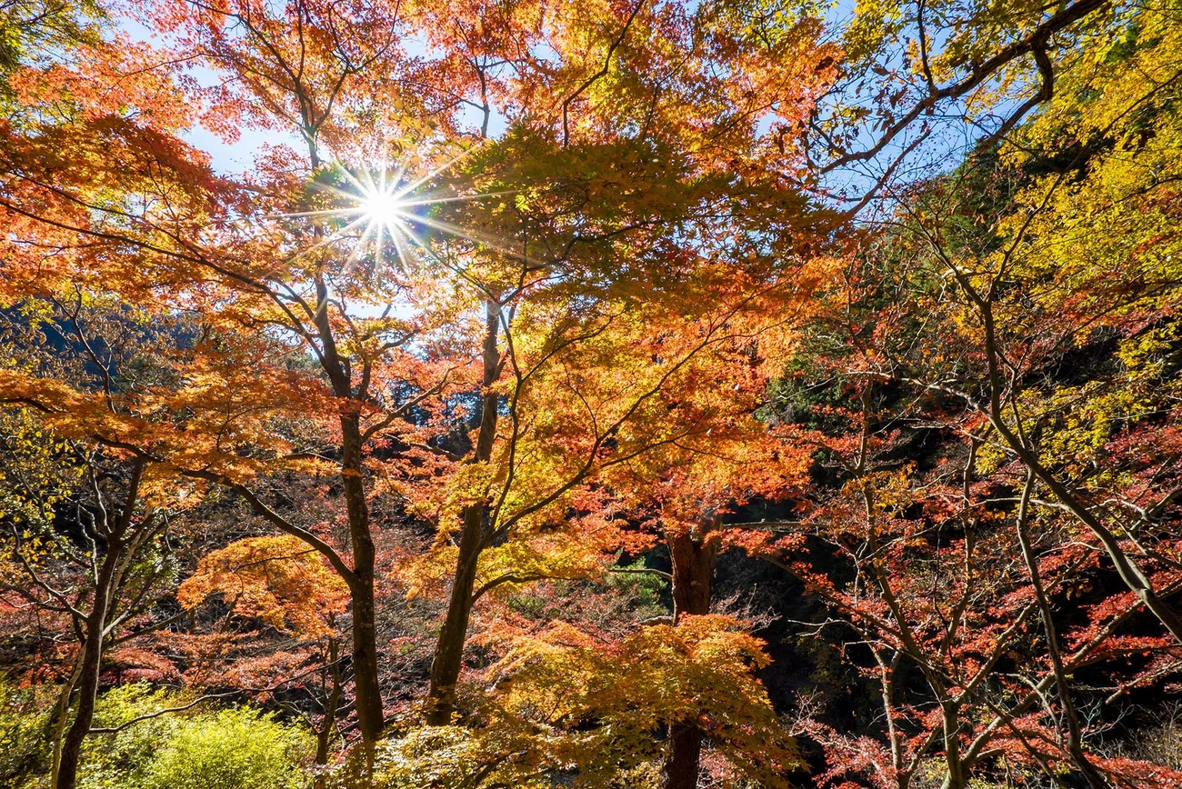 昇仙峡｜グランドメルキュール八ヶ岳リゾート＆スパ【公式】