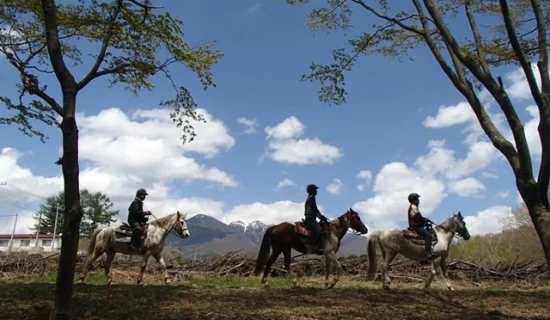 観光＆アクティビティ  売れ筋ランキングをご紹介