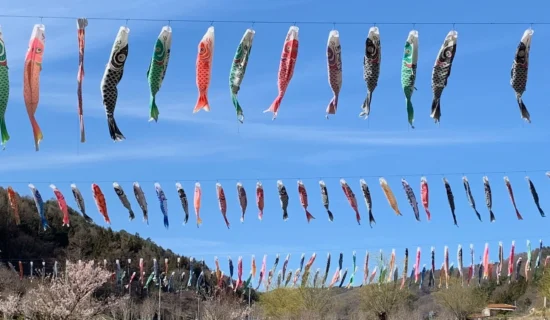 道の駅南きよさと