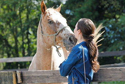 フォトギャラリーイメージ｜グランドメルキュール八ヶ岳リゾート＆スパ